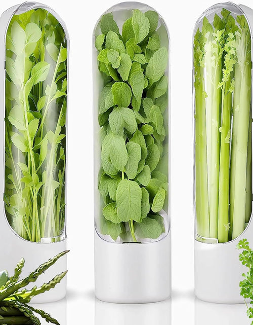Load image into Gallery viewer, Fresh Herb Keeper for Cilantro, Parsley, Asparagus, Keeps Vegetables for 2-3 Weeks (3PCS Herb Saver)
