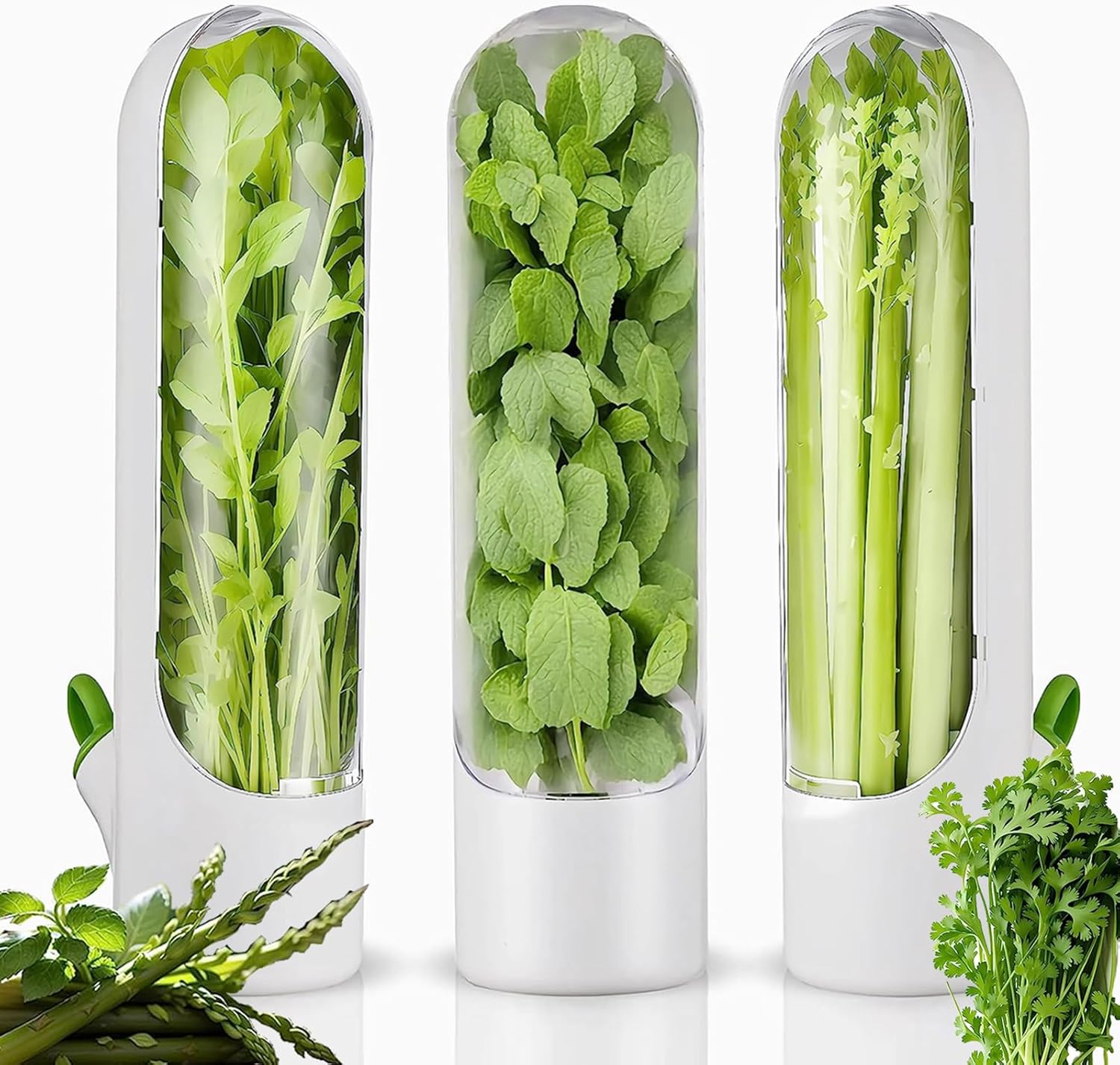 Fresh Herb Keeper for Cilantro, Parsley, Asparagus, Keeps Vegetables for 2-3 Weeks (3PCS Herb Saver)