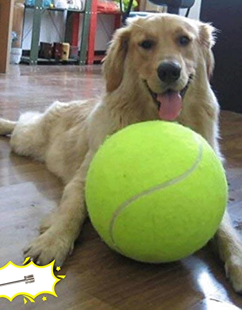 Load image into Gallery viewer, Jumbo Dog Tennis Ball
