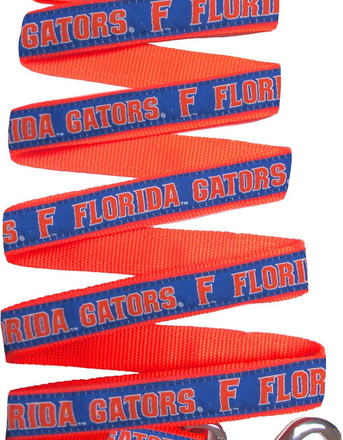 Load image into Gallery viewer, Collegiate Pet Accessories, Dog Leash, Florida Gators, Medium
