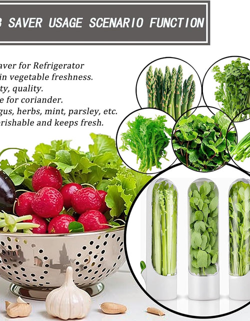 Load image into Gallery viewer, Fresh Herb Keeper for Cilantro, Parsley, Asparagus, Keeps Vegetables for 2-3 Weeks (3PCS Herb Saver)
