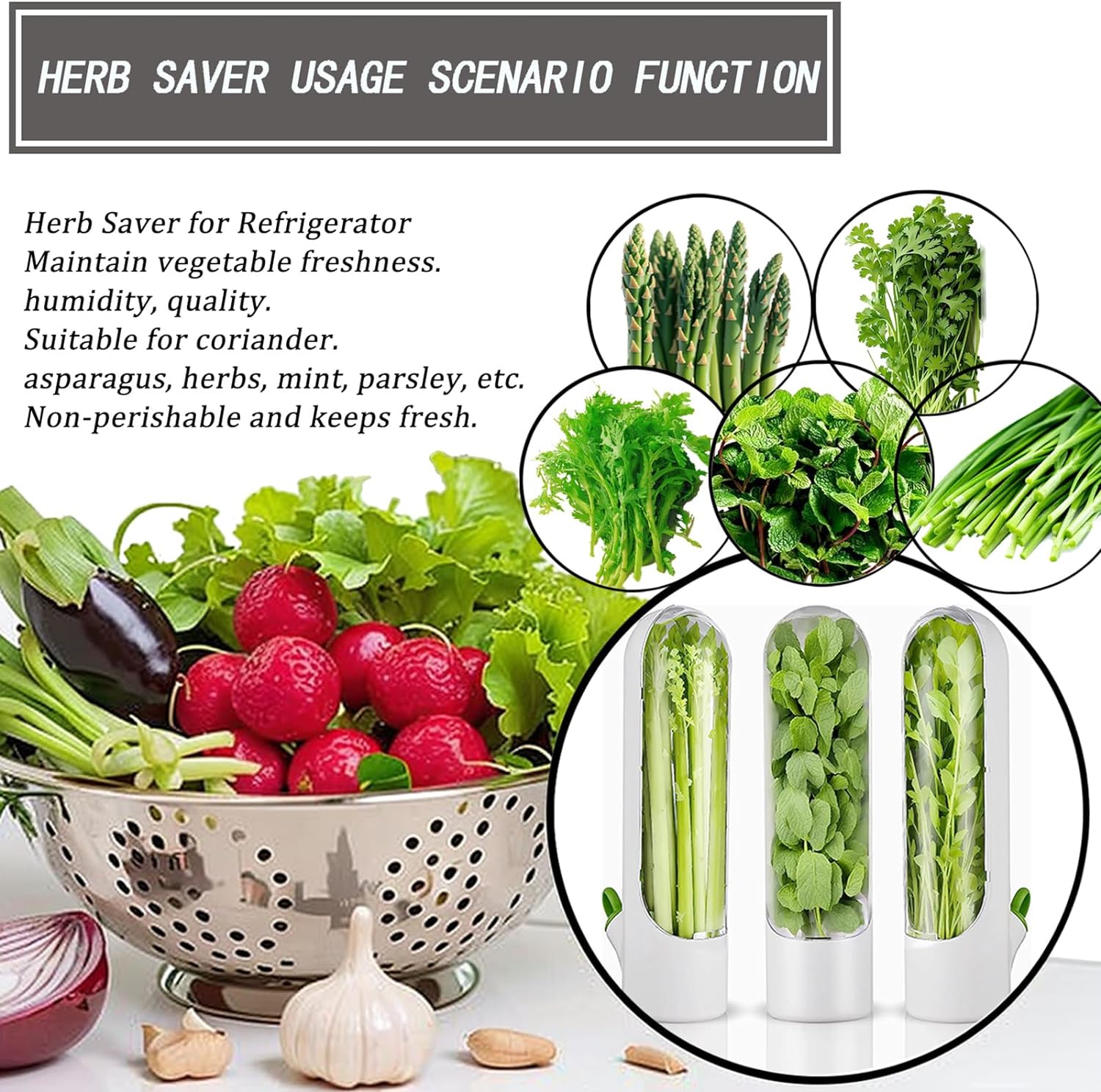 Fresh Herb Keeper for Cilantro, Parsley, Asparagus, Keeps Vegetables for 2-3 Weeks (3PCS Herb Saver)