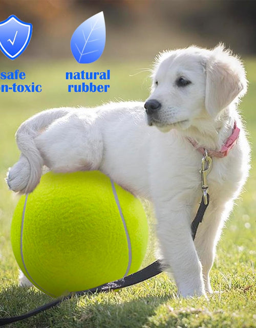 Load image into Gallery viewer, Jumbo Dog Tennis Ball
