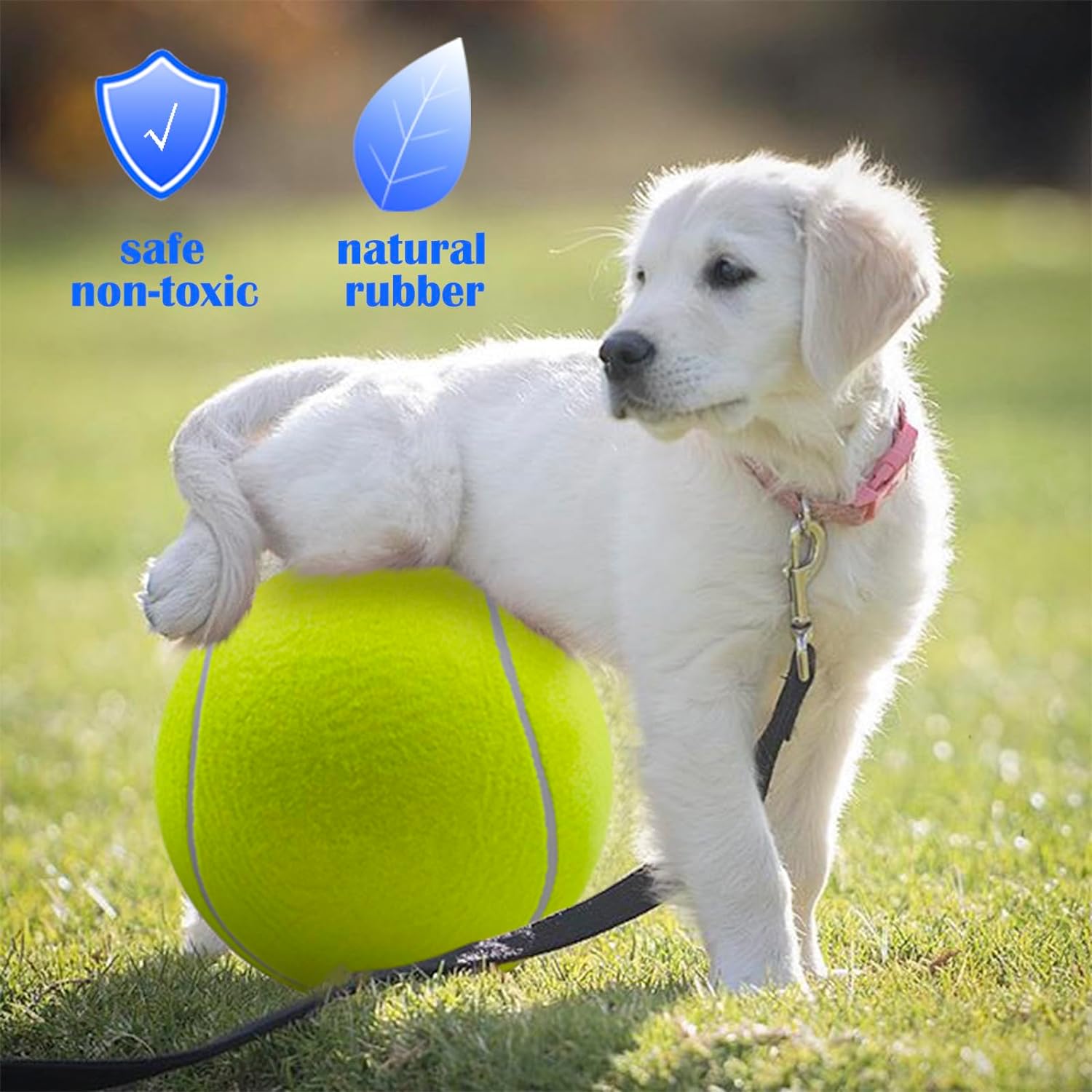 Jumbo Dog Tennis Ball