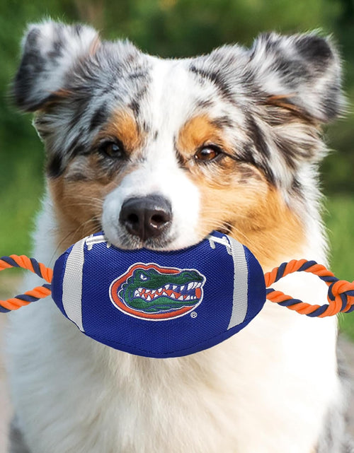 Load image into Gallery viewer, NCAA Florida Gators Football Dog Toy, Tough Quality Nylon Materials 1 Count (Pack of 1)
