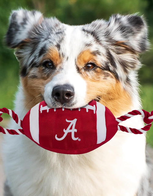 Load image into Gallery viewer, NCAA Alabama Crimson Tide Football Dog Toy, Tough Quality Nylon Materials
