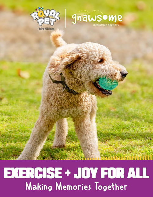 Load image into Gallery viewer, 4.5” Spiky Squeaker Football Dog Toy - Large, Cleans Teeth and Promotes Good Dental and Gum Health for Your Pet
