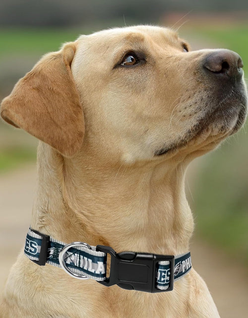 Load image into Gallery viewer, NFL Philadelphia Eagles Licensed PET COLLAR, Large - Heavy-Duty, Strong, and Durable Dog Colla
