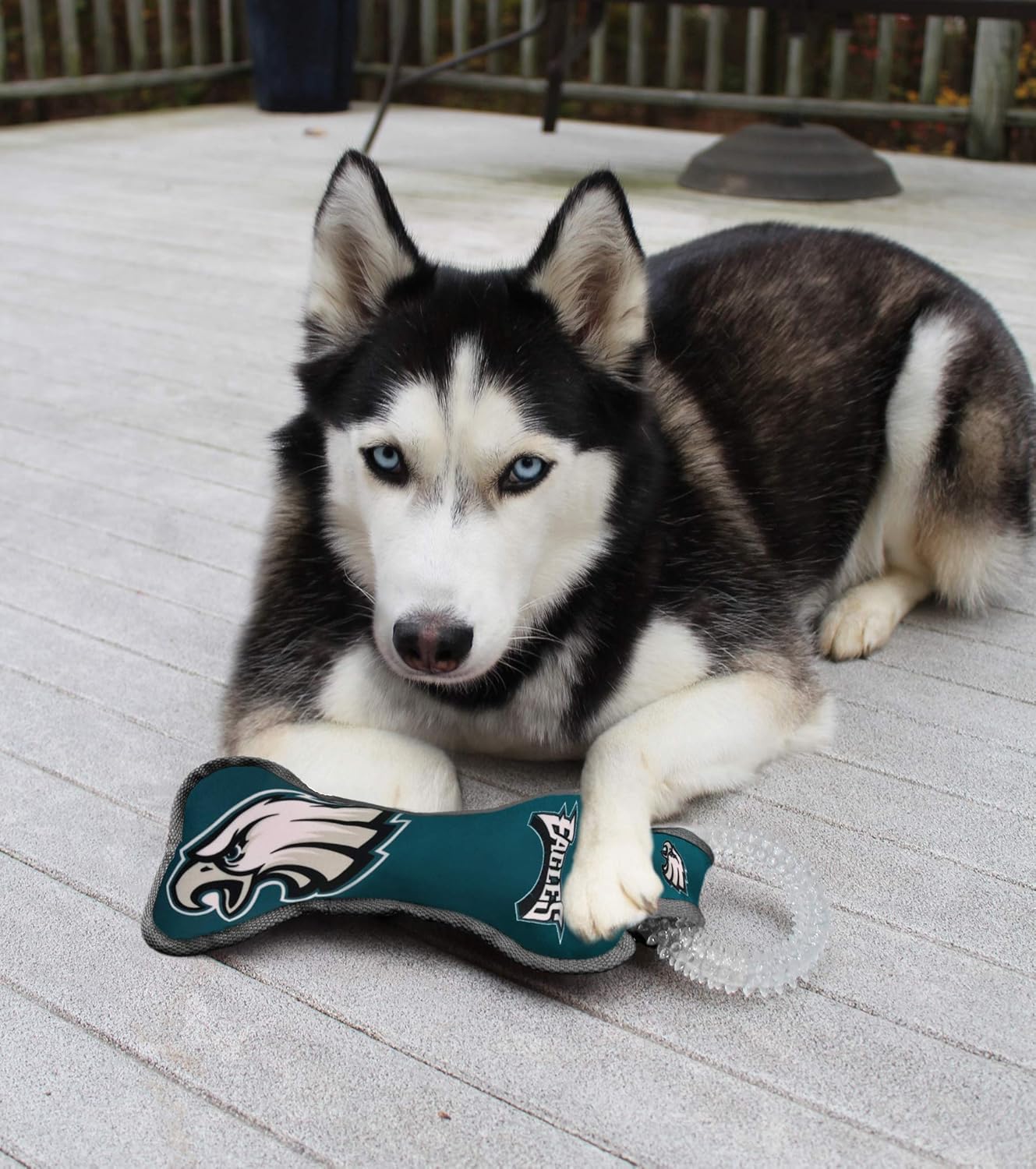 NFL Philadelphia Eagles Dental Dog TUG Toy with Squeaker. Tough PET Toy for Healthy Fun