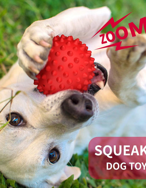Load image into Gallery viewer, Dog Balls Squeaky Dog Toys for Large Dogs, Dog Toys for Aggressive Chewers, Floatable Rubber Pet Toys for Medium Breed Pack of 2

