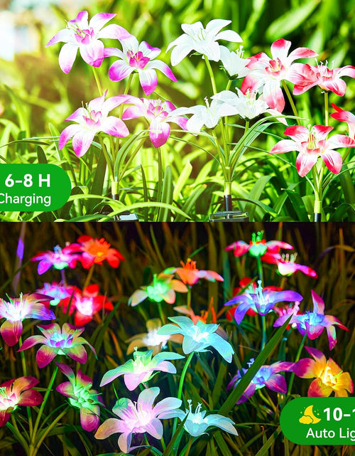 Load image into Gallery viewer, 6 PACK Solar Lights Outdoor Garden, Upgraded Solar Garden Lights with 24 Enlarged Blooming Lily Flowers
