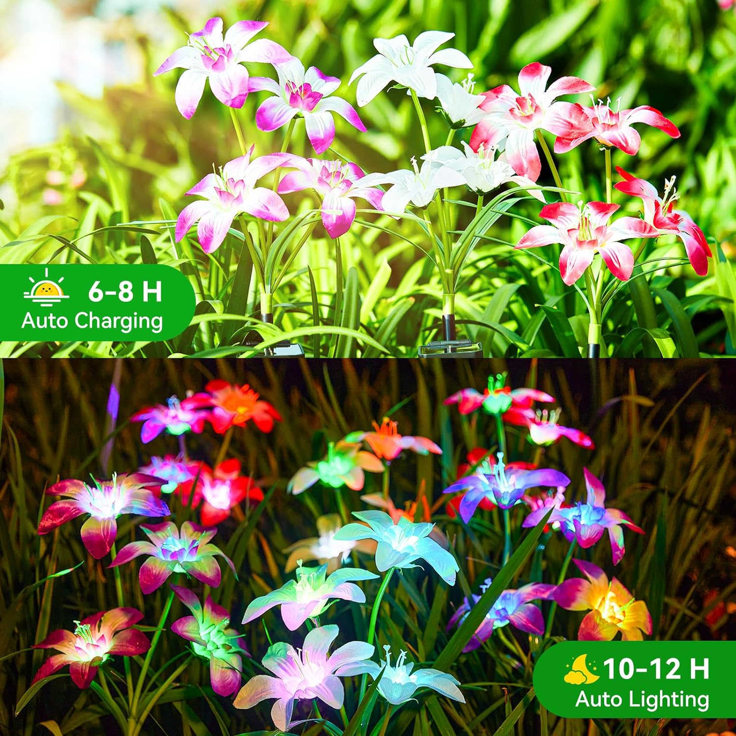 6 PACK Solar Lights Outdoor Garden, Upgraded Solar Garden Lights with 24 Enlarged Blooming Lily Flowers