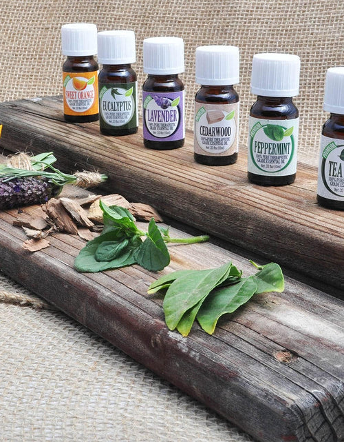 Load image into Gallery viewer, Healing Solutions 10ml Oils - Tea Tree Essential Oil - 0.33 Fluid Ounces
