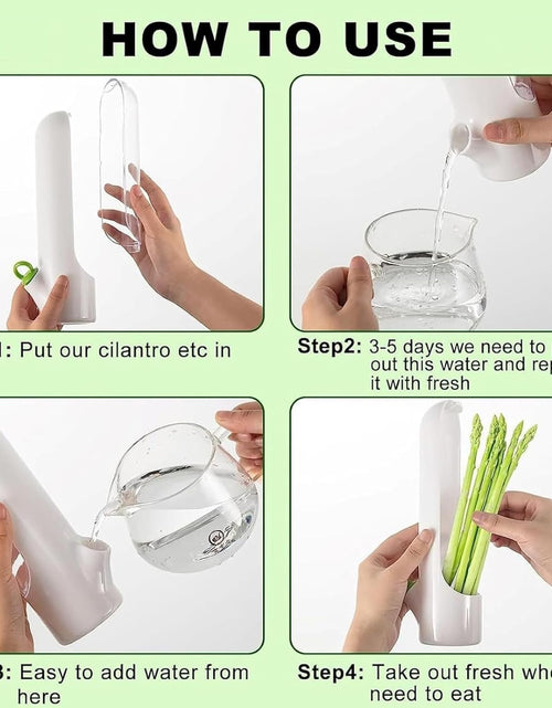 Load image into Gallery viewer, Fresh Herb Keeper for Cilantro, Parsley, Asparagus, Keeps Vegetables for 2-3 Weeks (3PCS Herb Saver)
