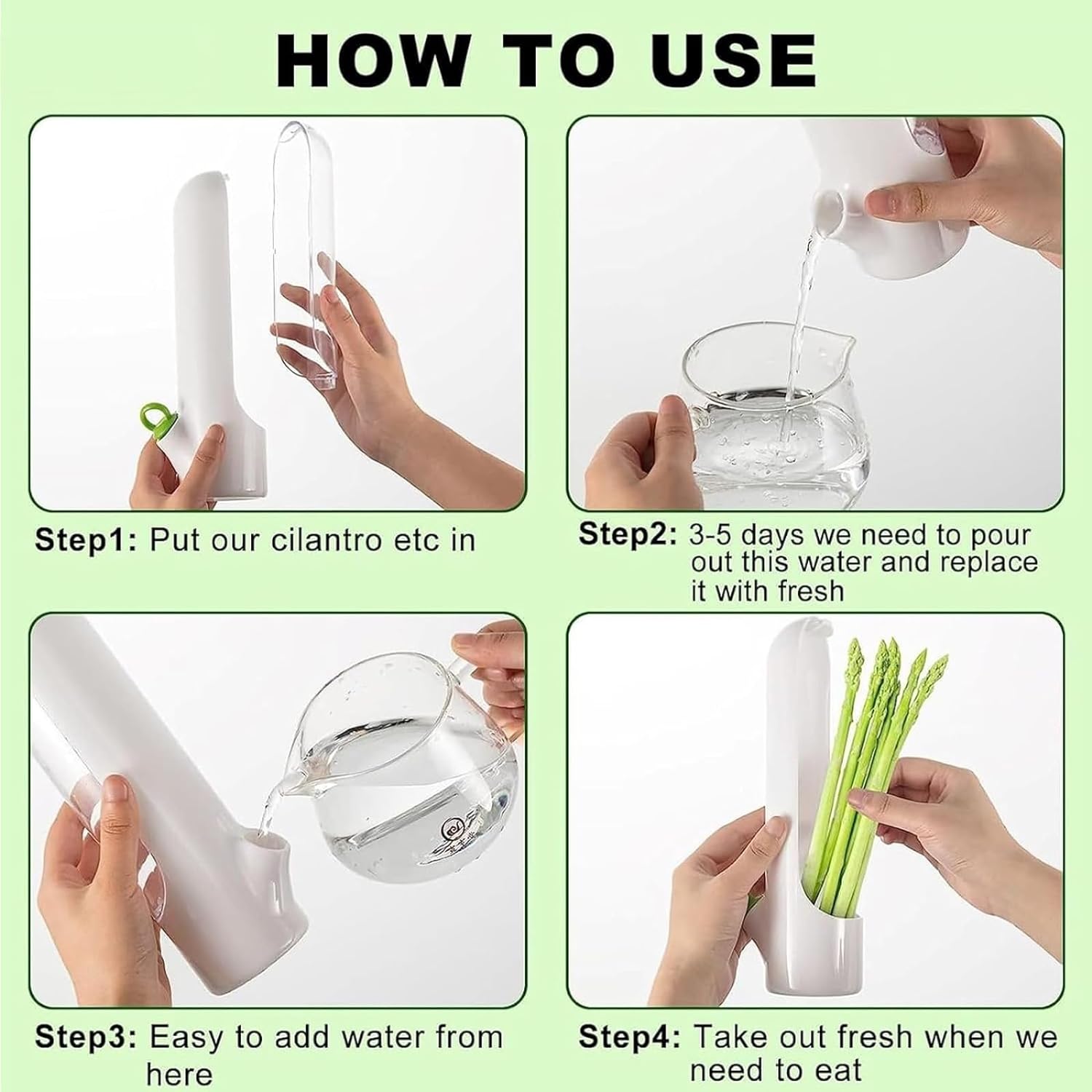 Fresh Herb Keeper for Cilantro, Parsley, Asparagus, Keeps Vegetables for 2-3 Weeks (3PCS Herb Saver)
