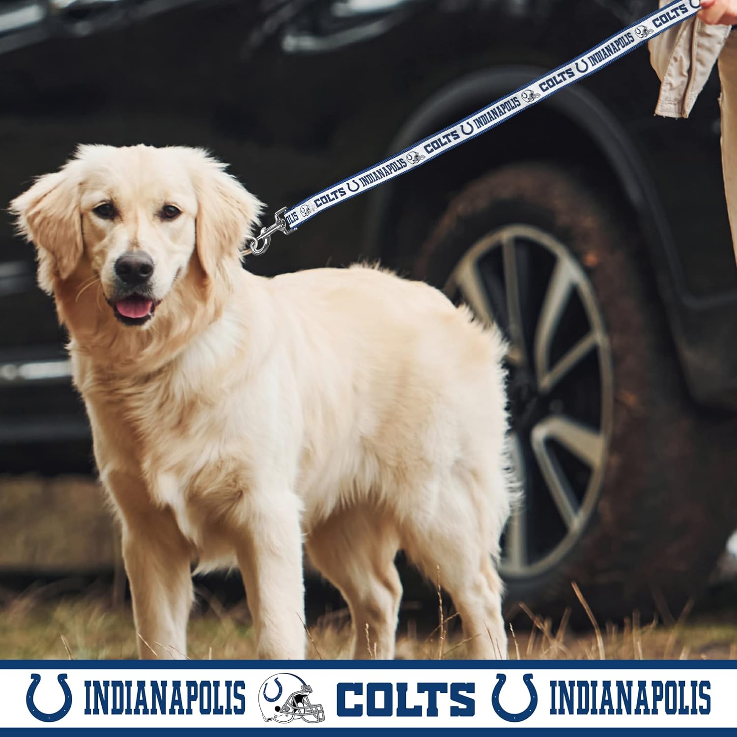 PET Leash Indianapolis Colts Dog Leash, Small Football Team Leash for Dogs & Cats