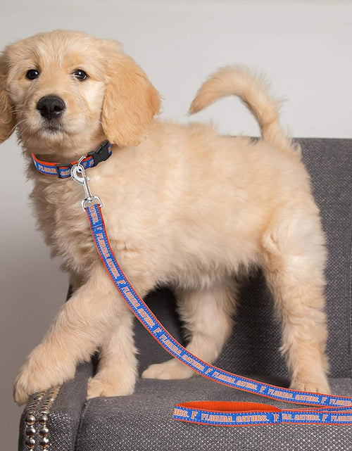 Load image into Gallery viewer, Collegiate Pet Accessories, Dog Leash, Florida Gators, Medium

