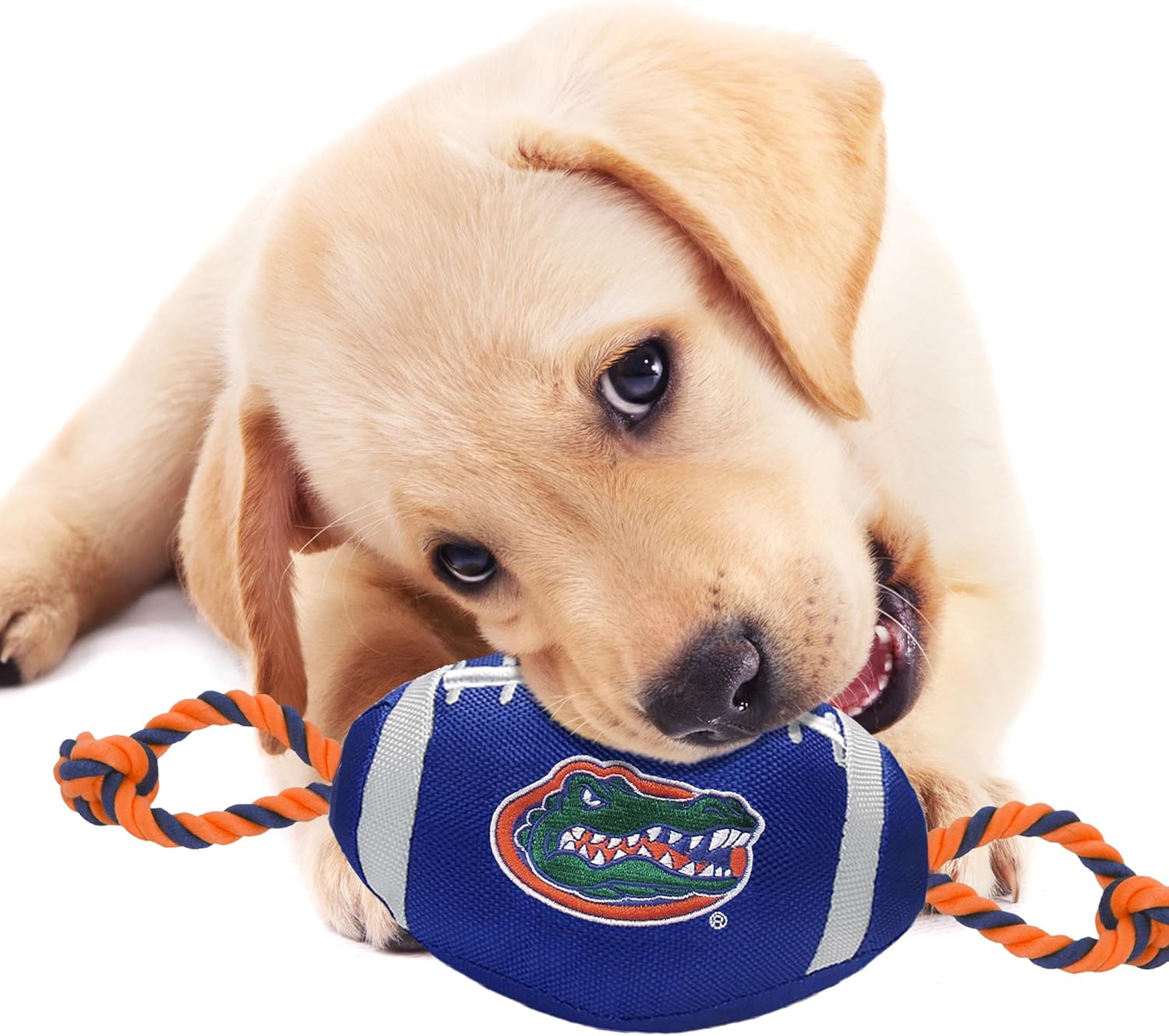 NCAA Florida Gators Football Dog Toy, Tough Quality Nylon Materials 1 Count (Pack of 1)