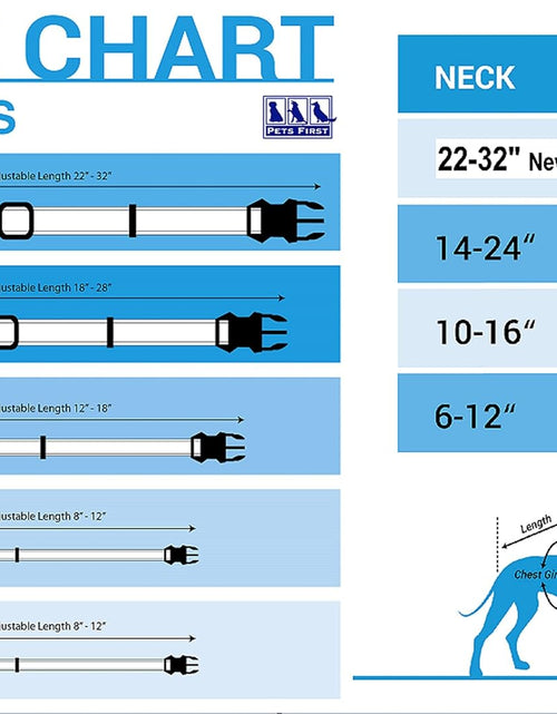 Load image into Gallery viewer, NFL PET Collar Washington Commanders Dog Collar, Large Football Team Collar for Dogs &amp; Cats (WAC-3588-LG)
