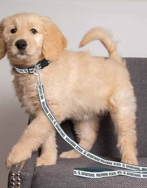 Load image into Gallery viewer, NCAA PET Leash, Medium, Michigan State Spartans, Dog Leash, Shiny &amp; Colorful Leash for Dogs &amp; Cats
