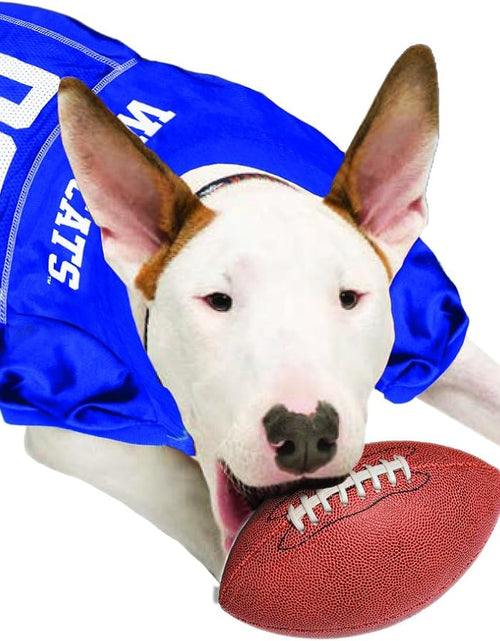 Load image into Gallery viewer, NCAA College University of Kentucky Wildcats Mesh Jersey for DOGS &amp; CATS, Size X-Small,
