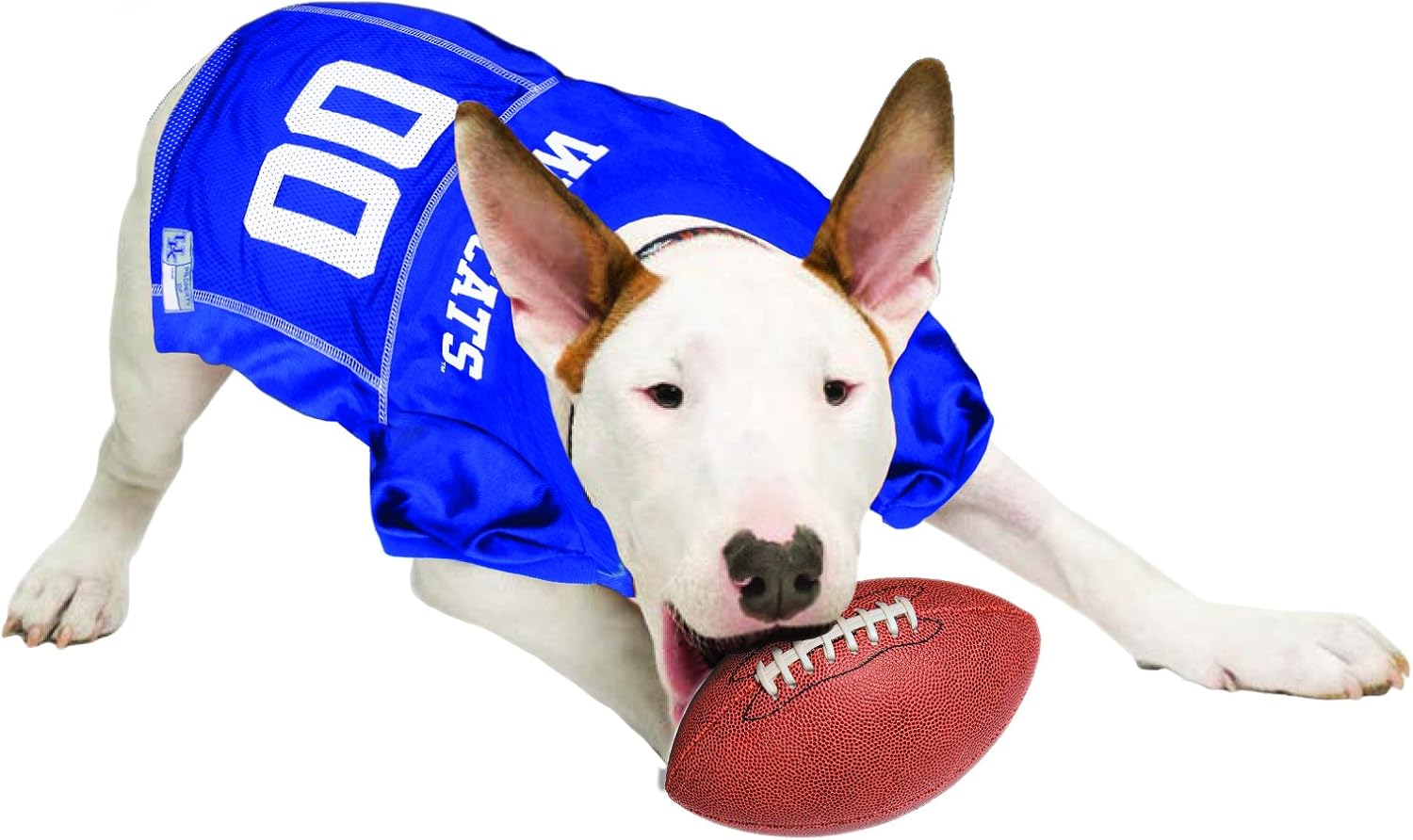 NCAA College University of Kentucky Wildcats Mesh Jersey for DOGS & CATS, Size X-Small,