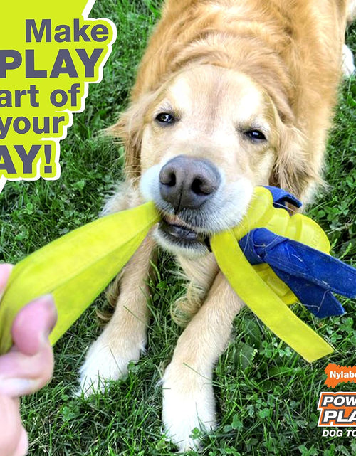 Load image into Gallery viewer, Football Gripz Fetch Toy, Squeaky Ball Chew Toy for Dogs, Medium (1 Count) Medium
