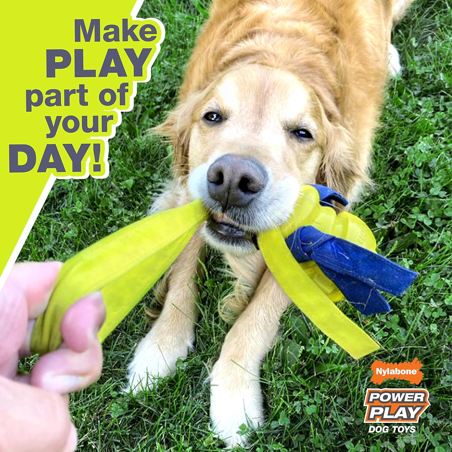 Football Gripz Fetch Toy, Squeaky Ball Chew Toy for Dogs, Medium (1 Count) Medium