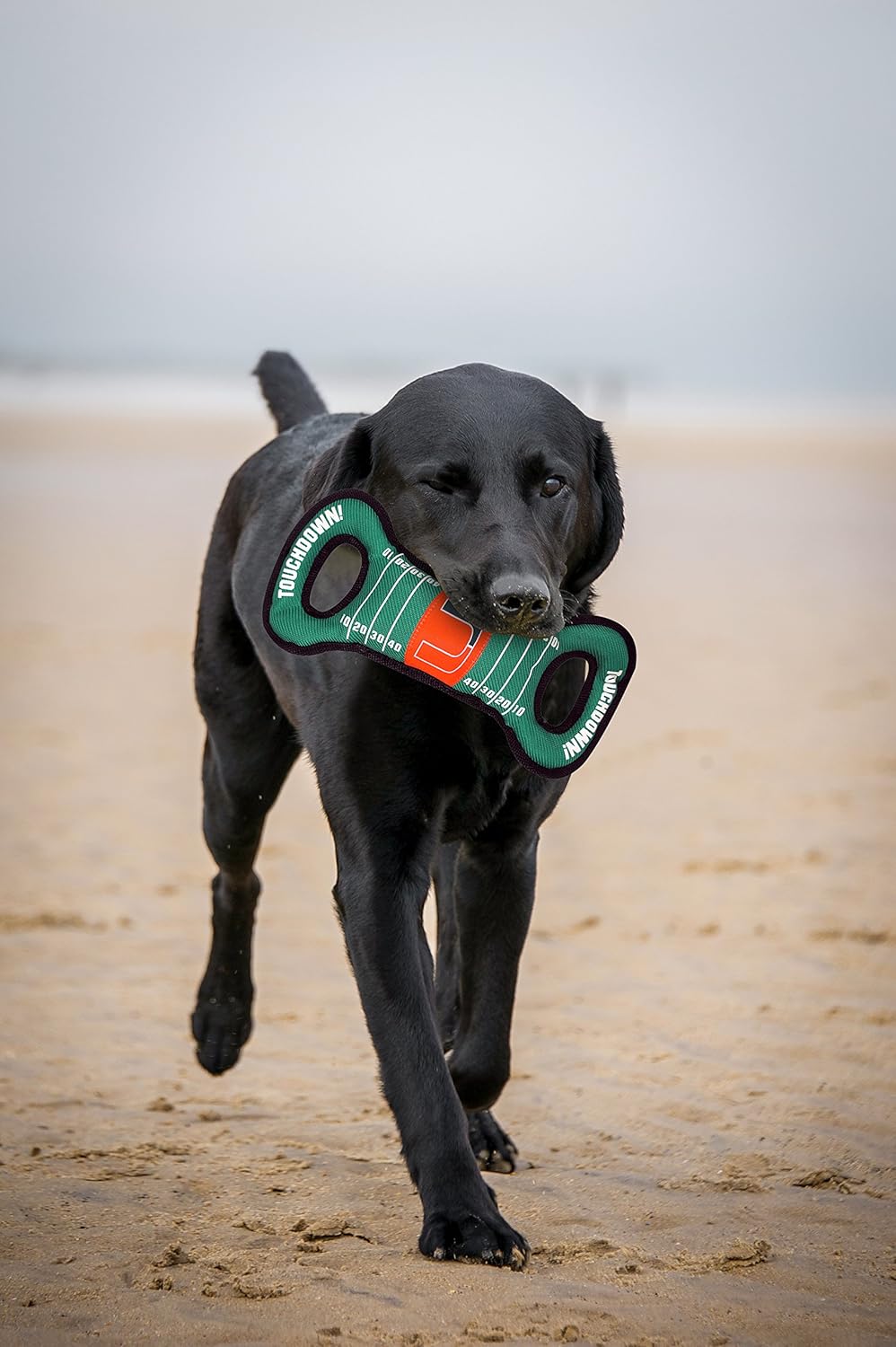 NCAA Football Field Dog Toy with Squeaker. - Miami Hurricanes - for Tug, Toss, and Fetch. - Tough& Durable PET Toy