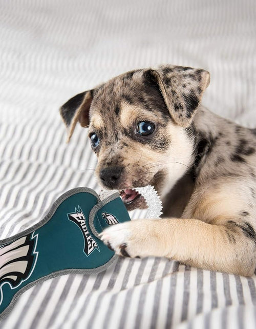 Load image into Gallery viewer, NFL Philadelphia Eagles Dental Dog TUG Toy with Squeaker. Tough PET Toy for Healthy Fun
