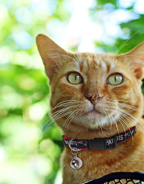Load image into Gallery viewer, NFL NEW ENGLAND PATRIOTS CAT COLLAR. - Strong &amp; Adjustable FOOTBALL Cat Collars with Metal Jingle Bell
