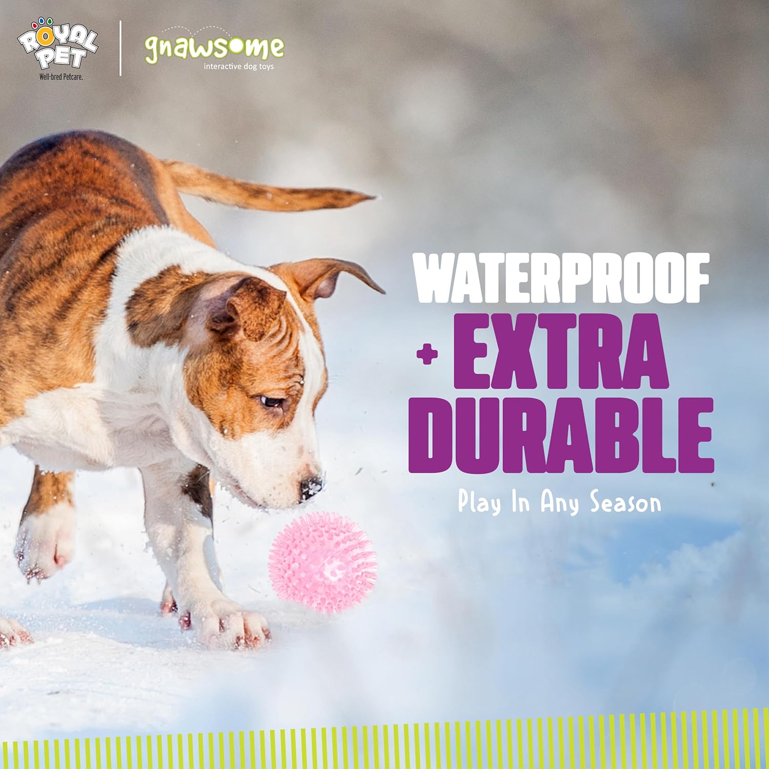 Medium Squeaker Ball Dog Toy, Medium 3.5", Colors will vary, All Breed Sizes