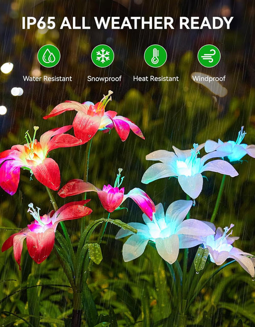 Load image into Gallery viewer, 6 PACK Solar Lights Outdoor Garden, Upgraded Solar Garden Lights with 24 Enlarged Blooming Lily Flowers
