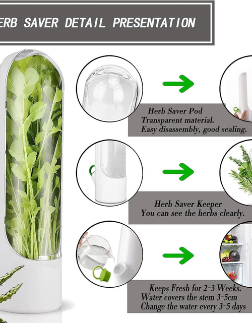 Load image into Gallery viewer, Fresh Herb Keeper for Cilantro, Parsley, Asparagus, Keeps Vegetables for 2-3 Weeks (3PCS Herb Saver)
