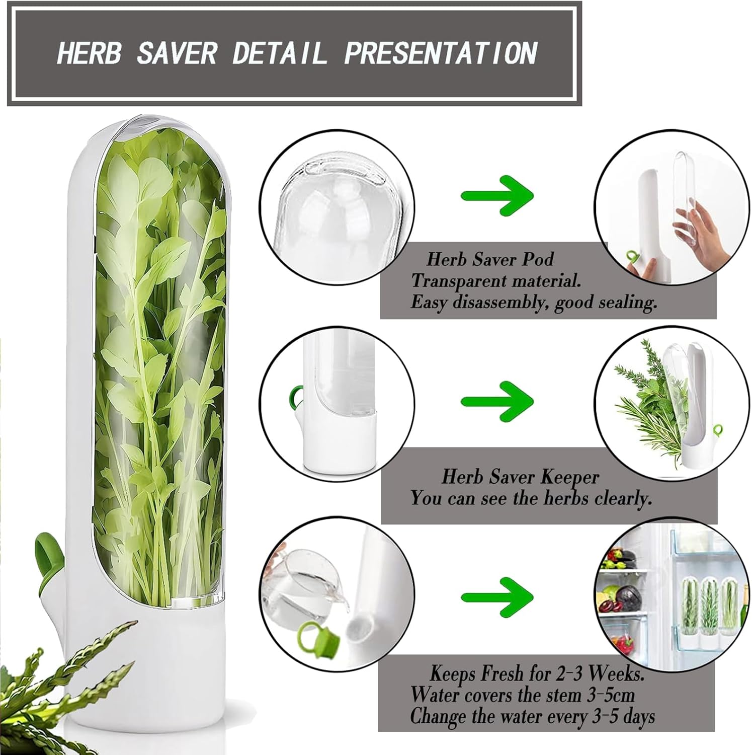 Fresh Herb Keeper for Cilantro, Parsley, Asparagus, Keeps Vegetables for 2-3 Weeks (3PCS Herb Saver)