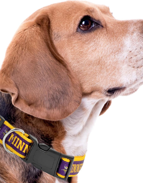 Load image into Gallery viewer, NFL PET Collar Minnesota Vikings Dog Collar, Medium Football Team Collar for Dogs &amp; Cats
