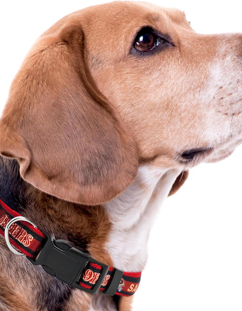 Load image into Gallery viewer, San Francisco 49ers NFL Dog Collar
