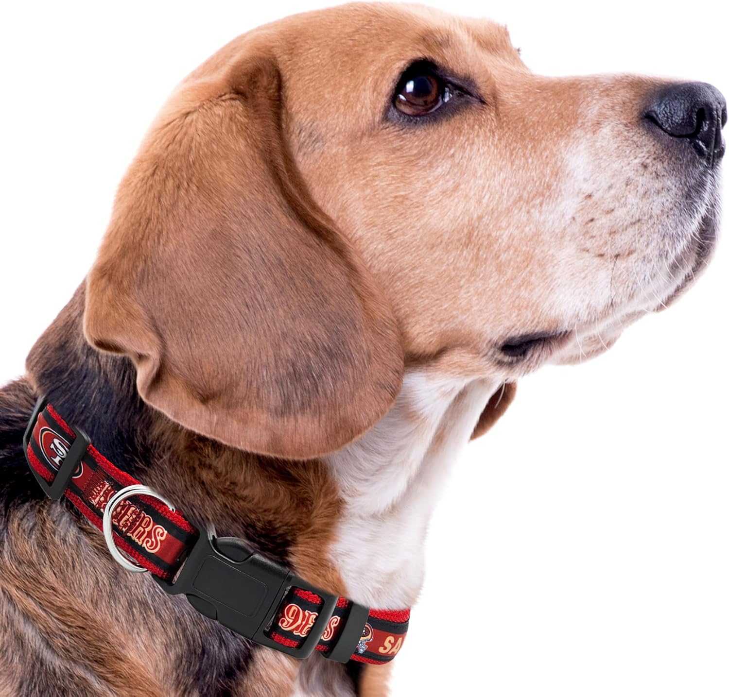 San Francisco 49ers NFL Dog Collar