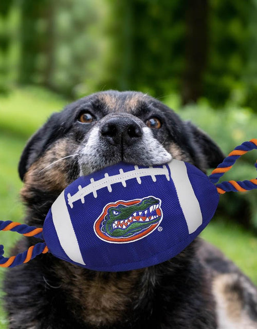 Load image into Gallery viewer, NCAA Florida Gators Football Dog Toy, Tough Quality Nylon Materials 1 Count (Pack of 1)
