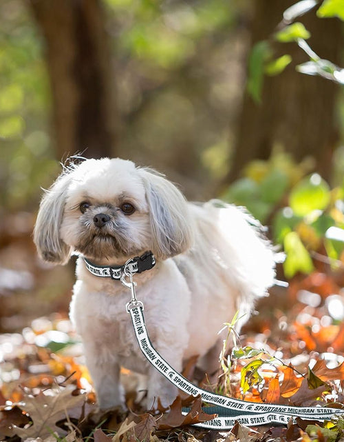 Load image into Gallery viewer, NCAA PET Leash, Medium, Michigan State Spartans, Dog Leash, Shiny &amp; Colorful Leash for Dogs &amp; Cats
