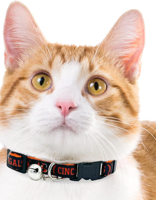 Load image into Gallery viewer, CAT Collar Cincinnati Bengals Satin Football Team Collar for Dogs &amp; Cats. A Shiny &amp; Colorful Cat Collar with Ringing Bell Pendant
