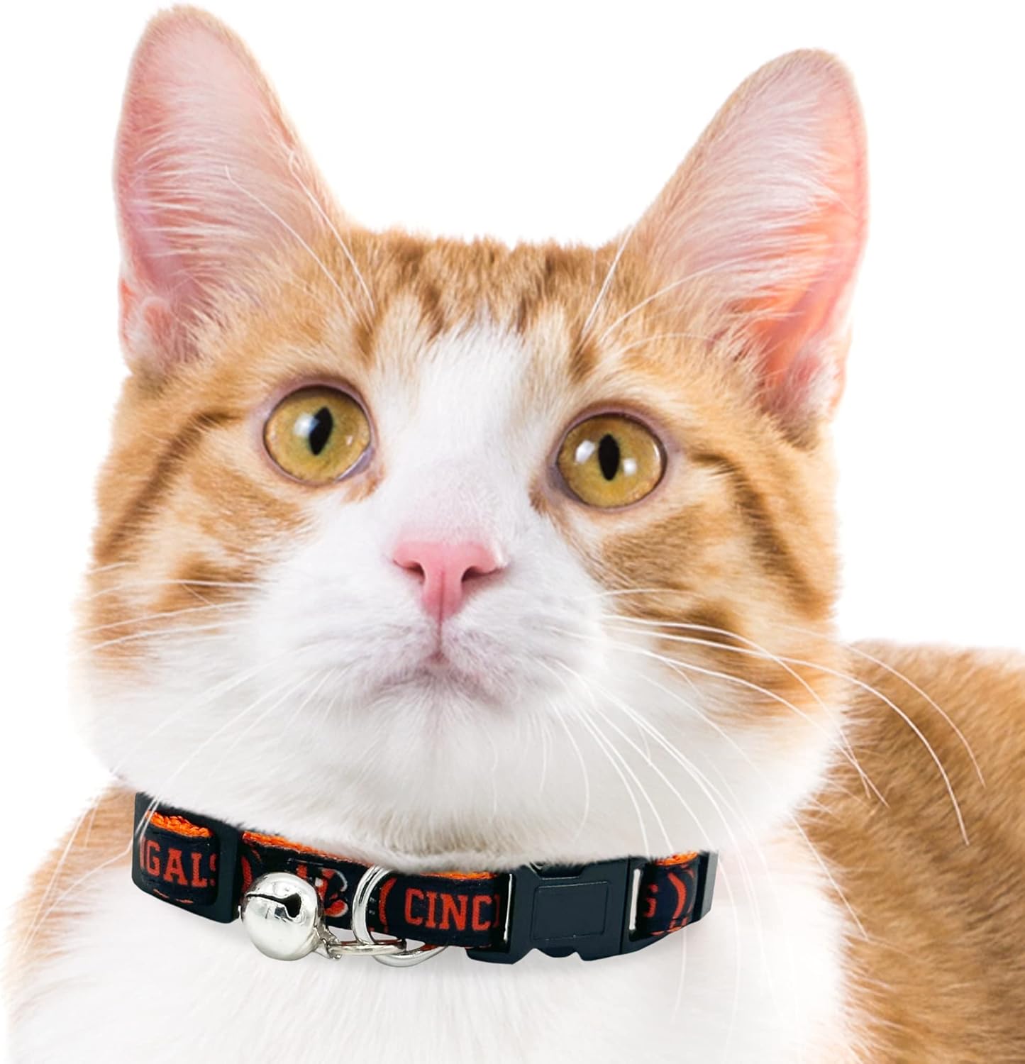 CAT Collar Cincinnati Bengals Satin Football Team Collar for Dogs & Cats. A Shiny & Colorful Cat Collar with Ringing Bell Pendant