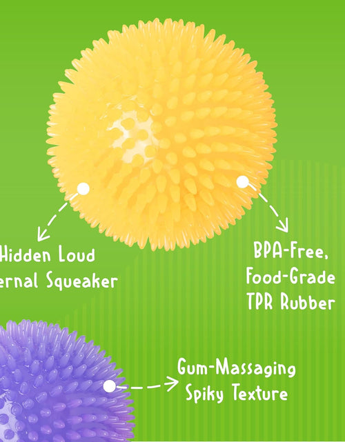 Load image into Gallery viewer, Medium Squeaker Ball Dog Toy, Medium 3.5&quot;, Colors will vary, All Breed Sizes
