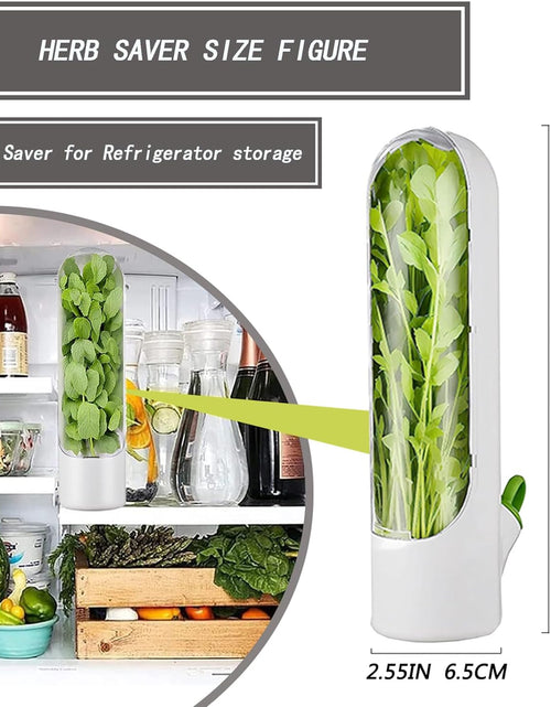 Load image into Gallery viewer, Fresh Herb Keeper for Cilantro, Parsley, Asparagus, Keeps Vegetables for 2-3 Weeks (3PCS Herb Saver)
