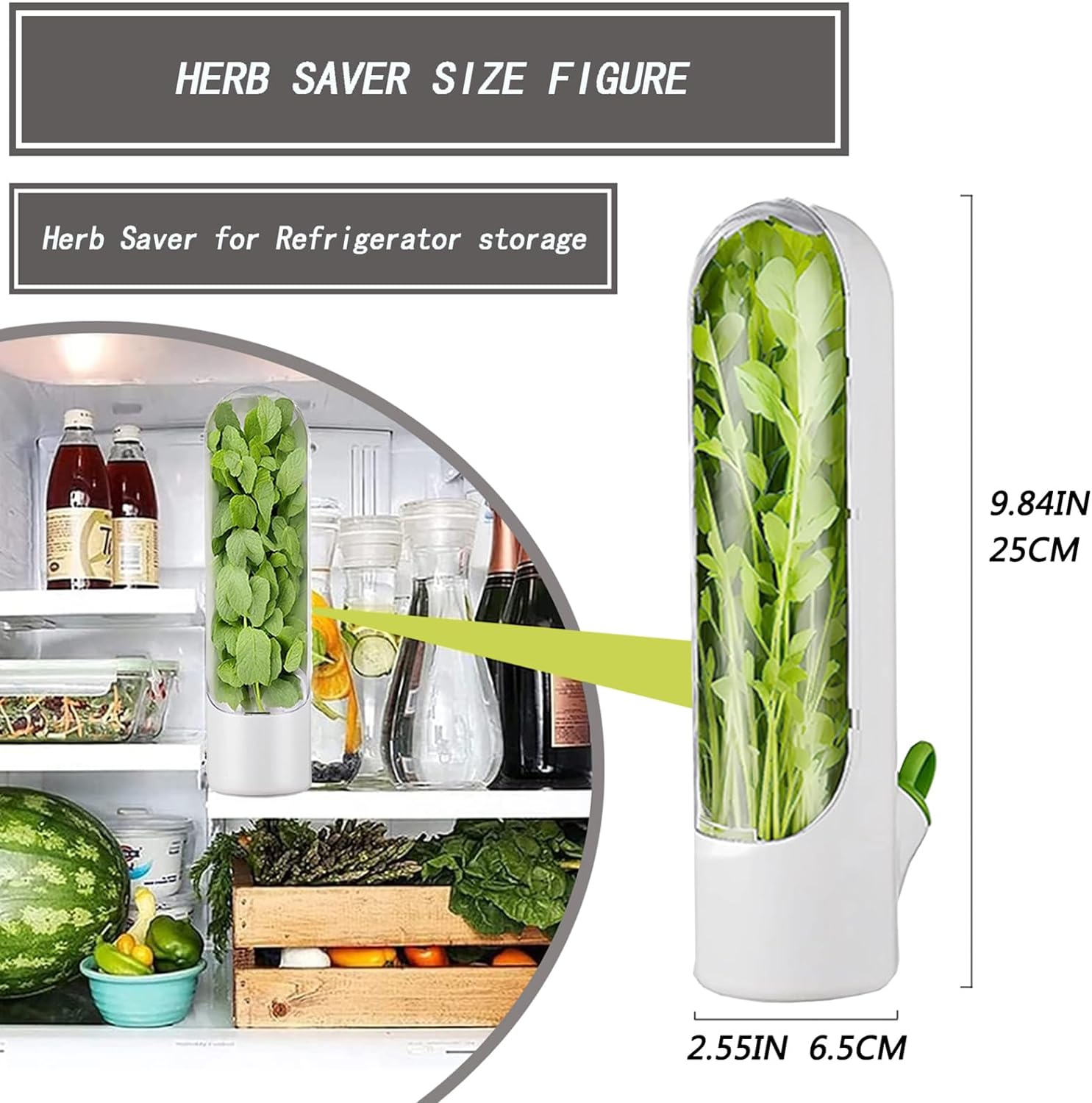 Fresh Herb Keeper for Cilantro, Parsley, Asparagus, Keeps Vegetables for 2-3 Weeks (3PCS Herb Saver)