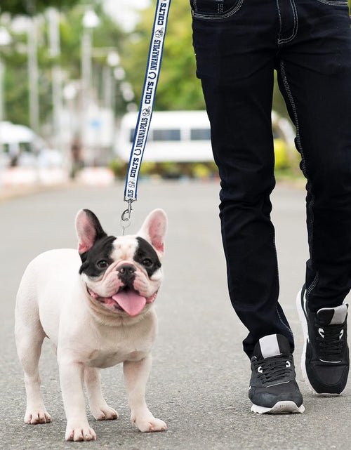Load image into Gallery viewer, PET Leash Indianapolis Colts Dog Leash, Small Football Team Leash for Dogs &amp; Cats
