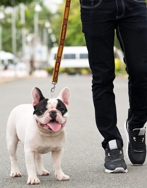 Load image into Gallery viewer, NFL PET Leash Washington Commanders Dog Leash, Medium Football Team Leash for Dogs &amp; Cats
