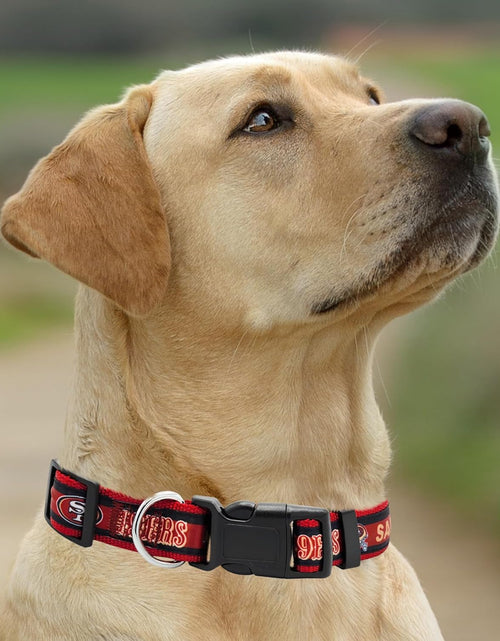 Load image into Gallery viewer, San Francisco 49ers NFL Dog Collar

