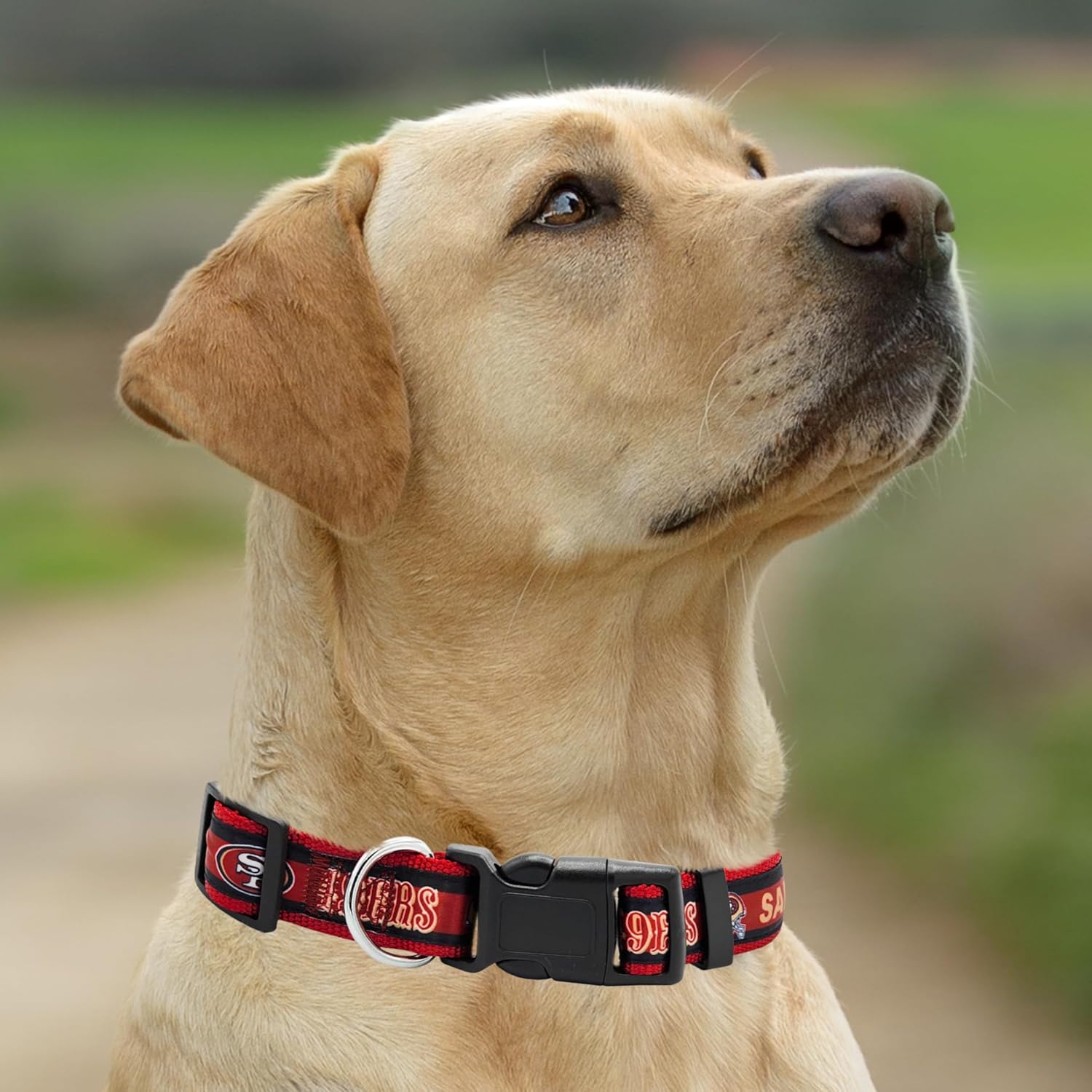 San Francisco 49ers NFL Dog Collar