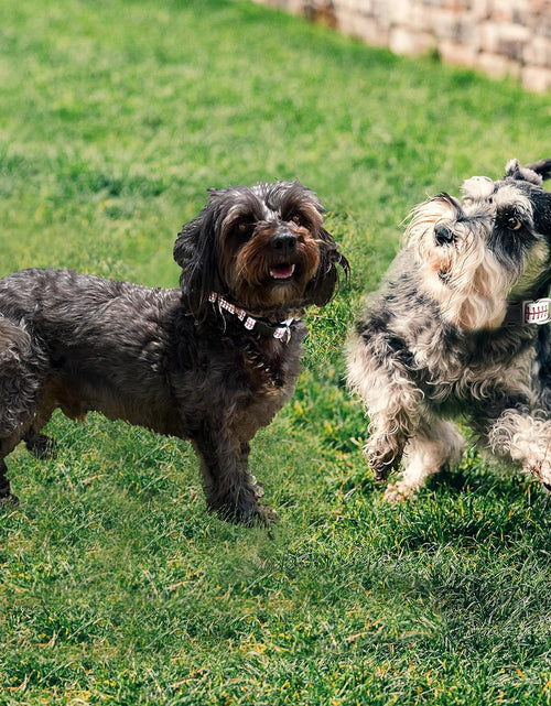 Load image into Gallery viewer, Baseball Dog Collar - Premium Dog Collar- Fadeproof – Sporty and Adjustable Heavy Duty Pet Collar
